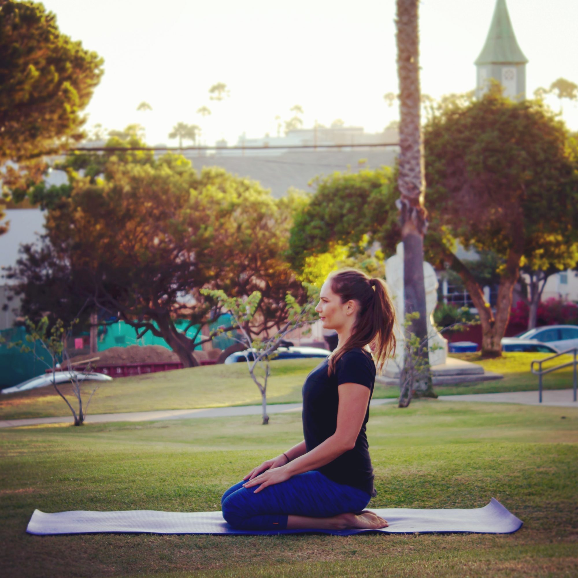 Yoga Rates Danielle Blends